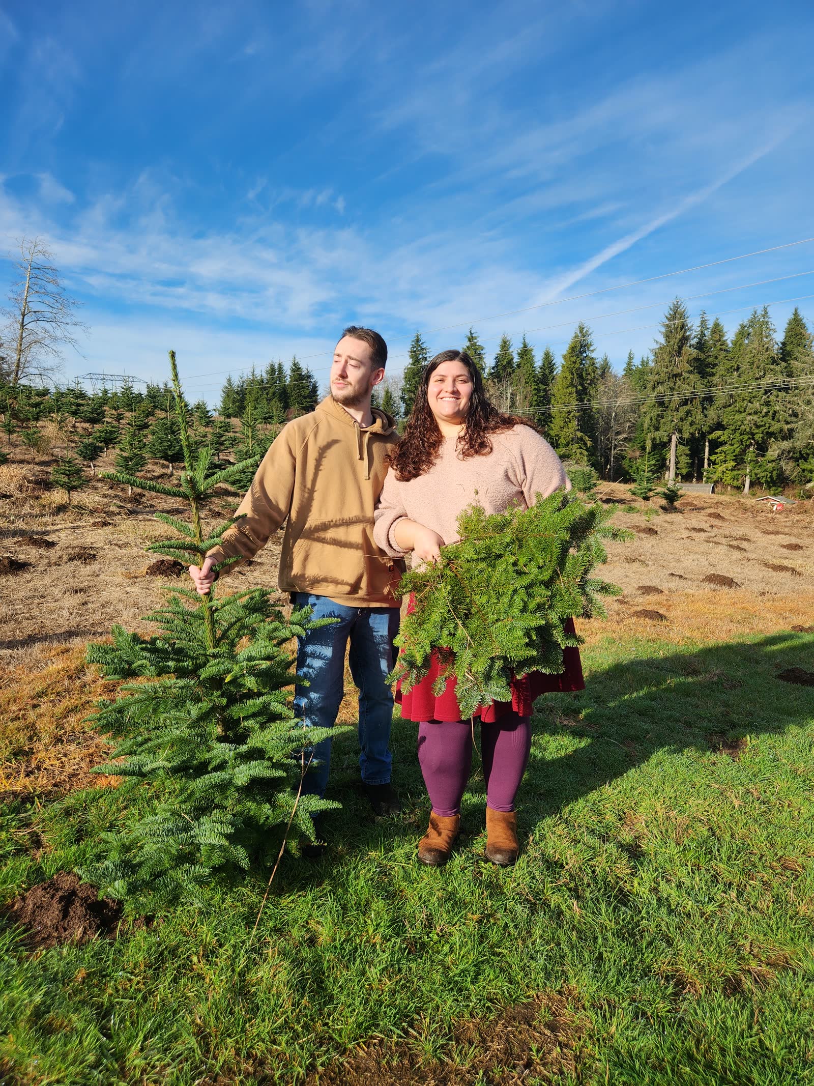 Visitors standing in a Christmas tree field holding fresh evergreen branches on a sunny day